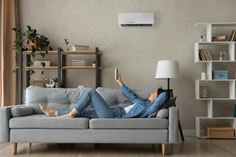condizionatori inverter